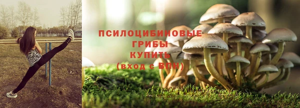 прущая мука Зеленокумск